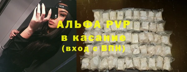 PSILOCYBIN Вяземский