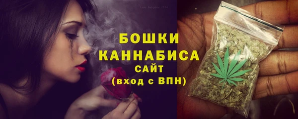 PSILOCYBIN Вяземский