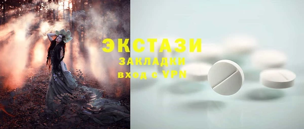 PSILOCYBIN Вяземский