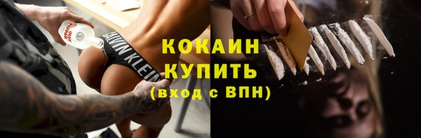 PSILOCYBIN Вяземский