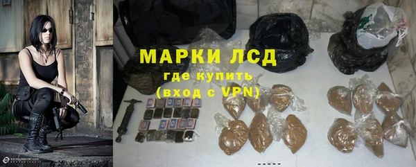 PSILOCYBIN Вяземский
