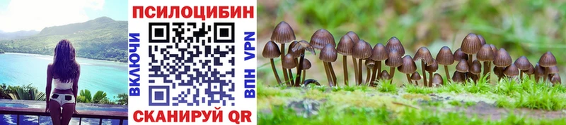 Галлюциногенные грибы мицелий  Купить закладки  Полесск 